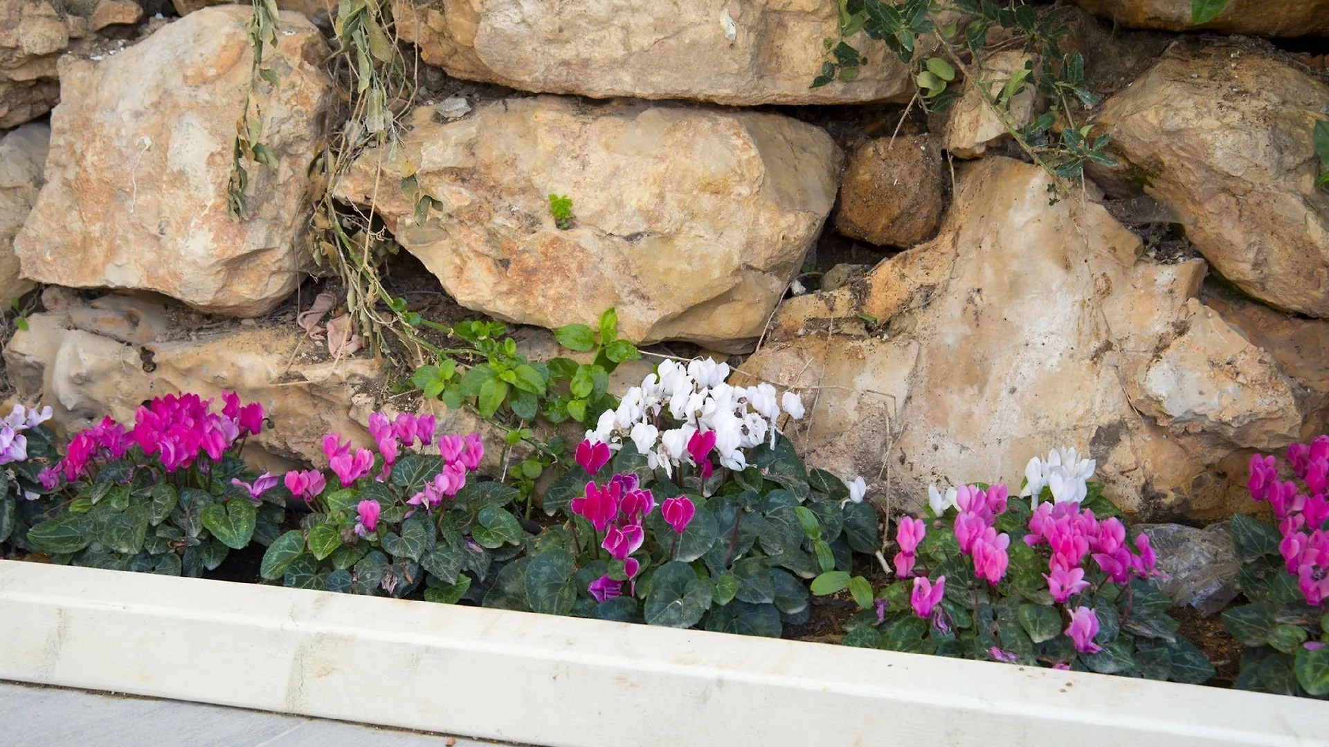Eshkol Housing Serviced Apartments Haifa